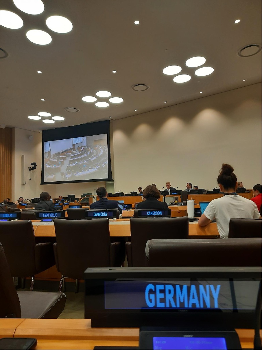 Picture of the session from the viewpoint of a German delegate