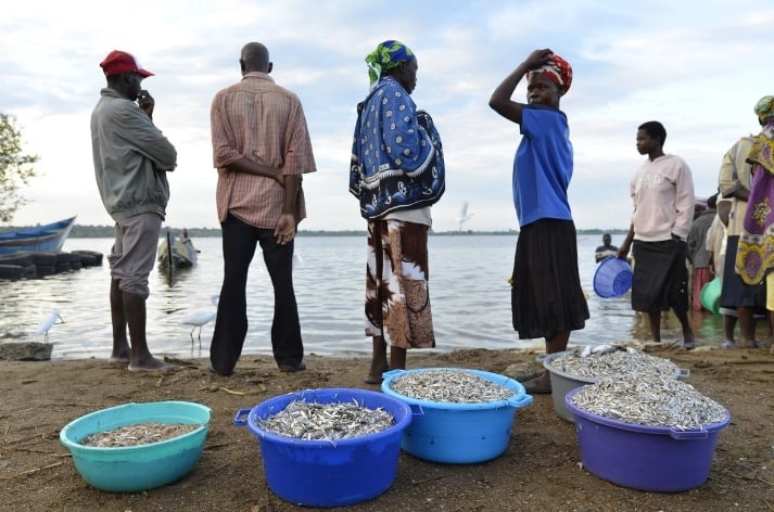 Somalia: Access to fish for nutrition